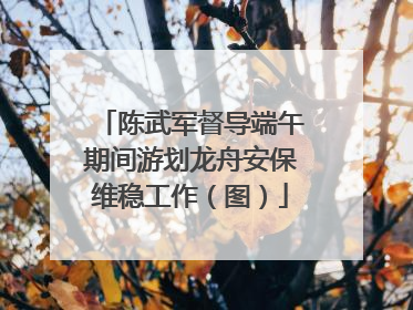 陈武军督导端午期间游划龙舟安保维稳工作（图）