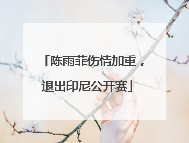 陈雨菲伤情加重，退出印尼公开赛