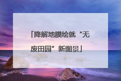 降解地膜绘就“无废田园”新图景
