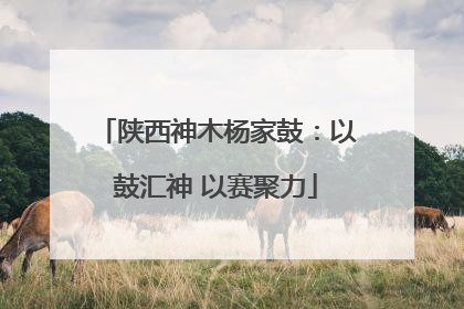 陕西神木杨家鼓：以鼓汇神 以赛聚力