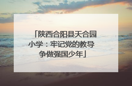陕西合阳县天合园小学：牢记党的教导 争做强国少年