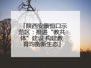 陕西安康恒口示范区：推进“教共体”建设 构建教育均衡新生态