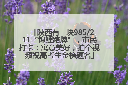 陕西有一块985/211“锦鲤路牌”，市民打卡：寓意美好，拍个视频祝高考生金榜题名