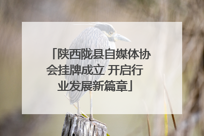 陕西陇县自媒体协会挂牌成立 开启行业发展新篇章