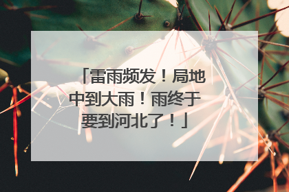 雷雨频发！局地中到大雨！雨终于要到河北了！