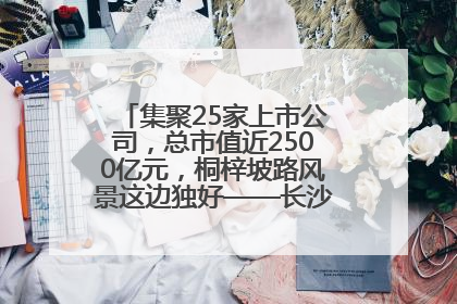 集聚25家上市公司，总市值近2500亿元，桐梓坡路风景这边独好——长沙有条“上市路”