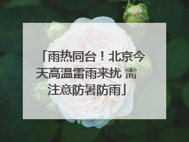 雨热同台！北京今天高温雷雨来扰 需注意防暑防雨
