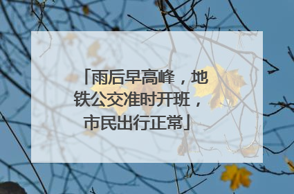 雨后早高峰，地铁公交准时开班，市民出行正常