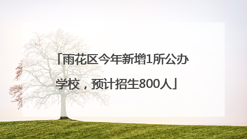 雨花区今年新增1所公办学校，预计招生800人