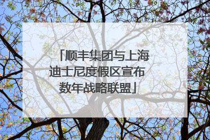 顺丰集团与上海迪士尼度假区宣布数年战略联盟