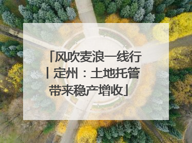 风吹麦浪一线行丨定州：土地托管带来稳产增收