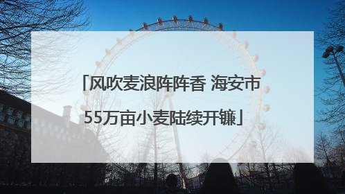 风吹麦浪阵阵香 海安市55万亩小麦陆续开镰