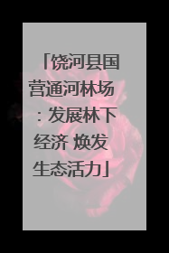 饶河县国营通河林场：发展林下经济 焕发生态活力
