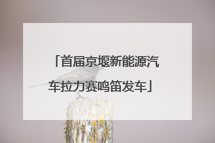 首届京堰新能源汽车拉力赛鸣笛发车