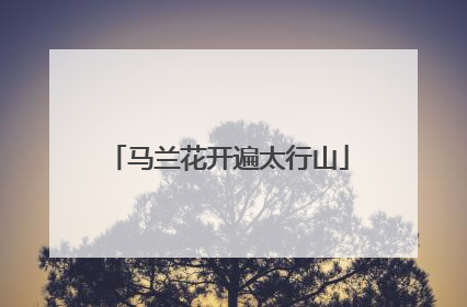 马兰花开遍太行山