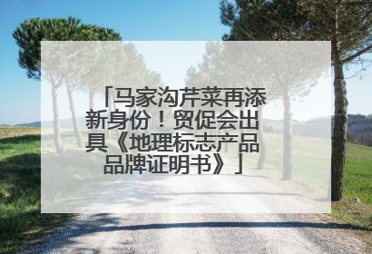 马家沟芹菜再添新身份！贸促会出具《地理标志产品品牌证明书》
