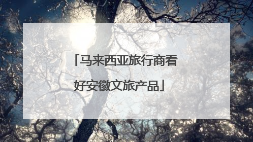 马来西亚旅行商看好安徽文旅产品