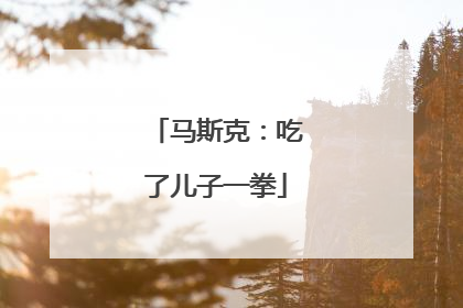 马斯克：吃了儿子一拳