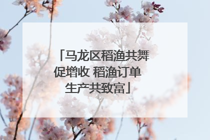 马龙区稻渔共舞促增收 稻渔订单生产共致富