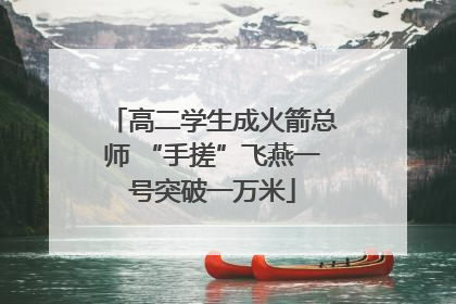 高二学生成火箭总师 “手搓”飞燕一号突破一万米