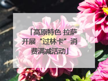高原特色 拉萨开展“过林卡”消费满减活动