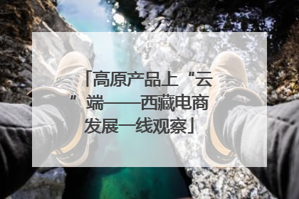 高原产品上“云”端——西藏电商发展一线观察