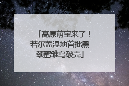 高原萌宝来了！若尔盖湿地首批黑颈鹤雏鸟破壳