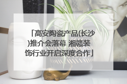 高安陶瓷产品(长沙)推介会落幕 湘赣装饰行业开启深度合作