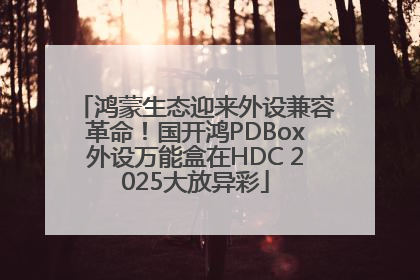 鸿蒙生态迎来外设兼容革命！国开鸿PDBox外设万能盒在HDC 2025大放异彩