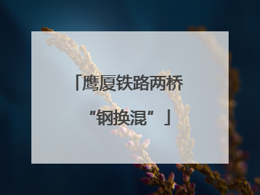 鹰厦铁路两桥“钢换混”