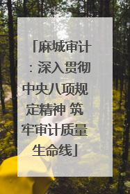 麻城审计：深入贯彻中央八项规定精神 筑牢审计质量生命线