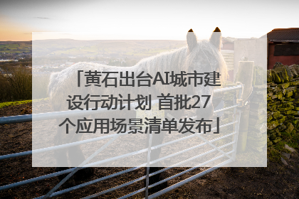 黄石出台AI城市建设行动计划 首批27个应用场景清单发布