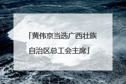 黄伟京当选广西壮族自治区总工会主席