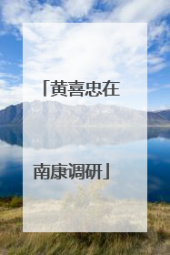黄喜忠在南康调研