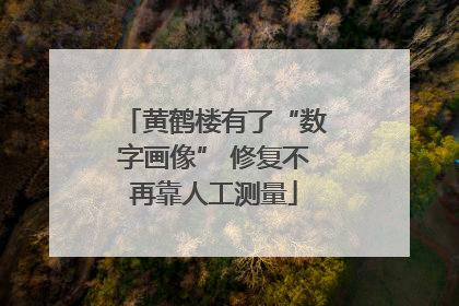 黄鹤楼有了“数字画像” 修复不再靠人工测量