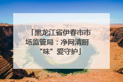 黑龙江省伊春市市场监管局：净网清厨 “味”爱守护