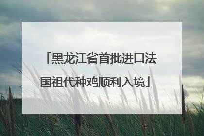 黑龙江省首批进口法国祖代种鸡顺利入境