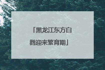 黑龙江东方白鹳迎来繁育期