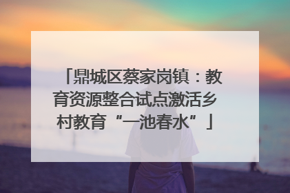 鼎城区蔡家岗镇：教育资源整合试点激活乡村教育“一池春水”