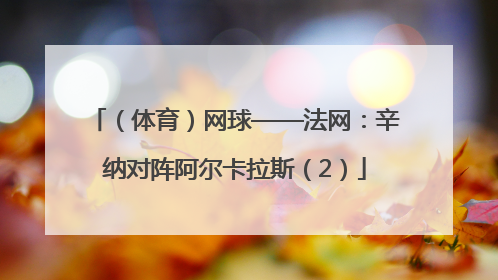 （体育）网球——法网：辛纳对阵阿尔卡拉斯（2）