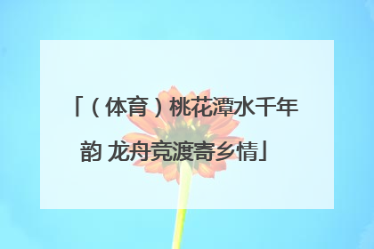 （体育）桃花潭水千年韵 龙舟竞渡寄乡情