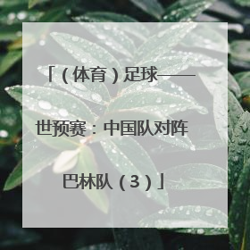 （体育）足球——世预赛：中国队对阵巴林队（3）