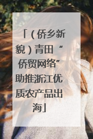 （侨乡新貌）青田“侨贸网络”助推浙江优质农产品出海