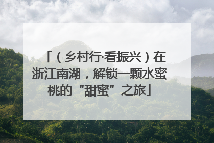 （乡村行·看振兴）在浙江南湖，解锁一颗水蜜桃的“甜蜜”之旅