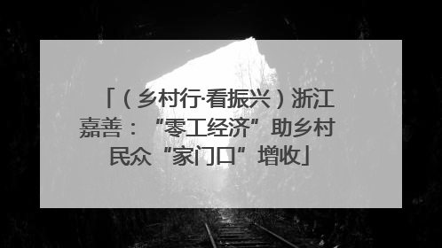 （乡村行·看振兴）浙江嘉善：“零工经济”助乡村民众“家门口”增收