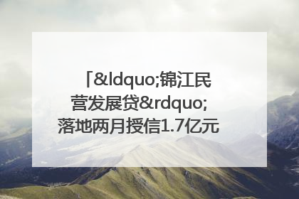 “锦江民营发展贷”落地两月授信1.7亿元，惠及118家民企