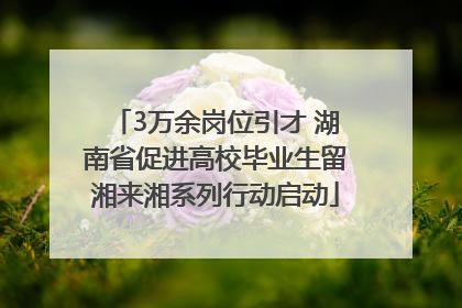 3万余岗位引才 湖南省促进高校毕业生留湘来湘系列行动启动