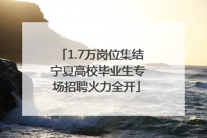 1.7万岗位集结 宁夏高校毕业生专场招聘火力全开