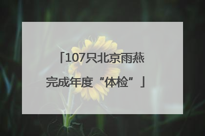 107只北京雨燕完成年度“体检”