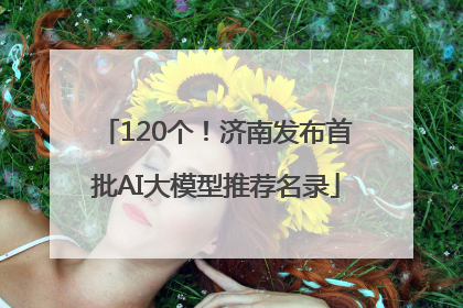 120个！济南发布首批AI大模型推荐名录